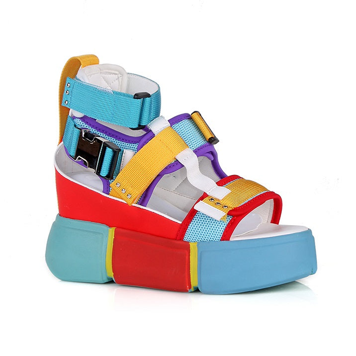 Cranberry 02 - Multi