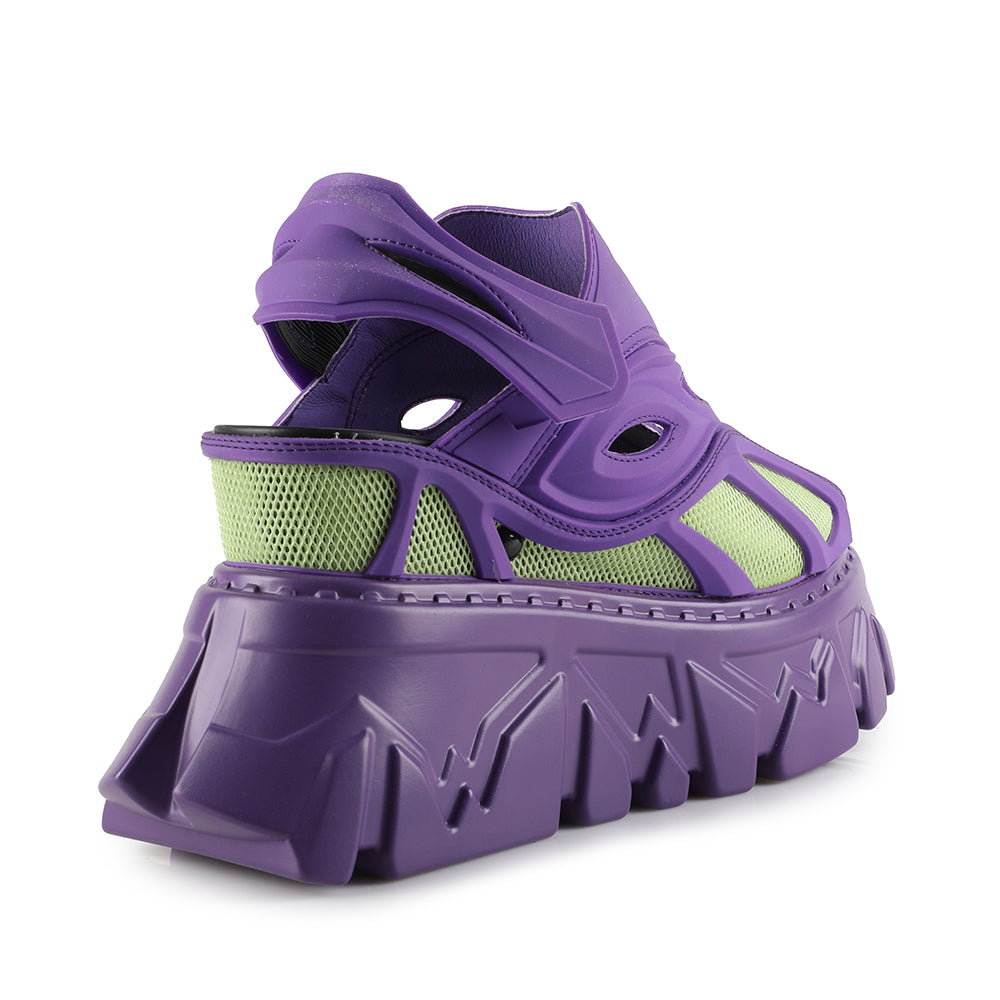 
                      
                        Goose Berry 07 - Purple
                      
                    